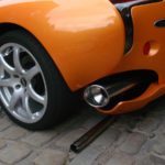 Sagaris cans.2